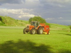 Massey Ferguson 3650