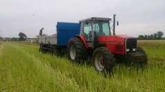 Massey Ferguson 3680