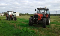Massey Ferguson 3690