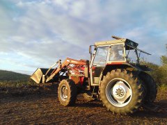 Massey Ferguson 375