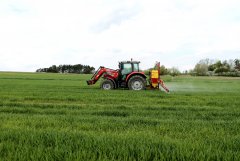 Massey Ferguson 5425 + Pilmet 815