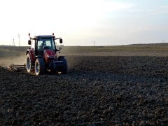 Massey Ferguson 5612 & Brony