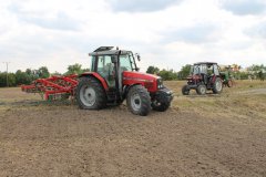 Massey Ferguson 6260