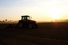 Massey Ferguson 6260