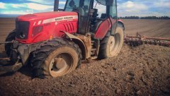 Massey  Ferguson 6480