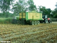 Massey Ferguson 8170 & Krone ZX550GL