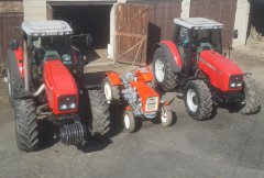 Massey Ferguson 8260 & 8220 & Ursus C-325