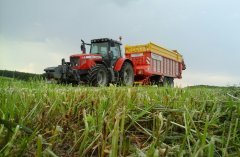 Massey Ferguson + Pottinger I pokos