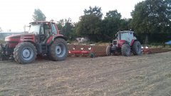 Massey Ferguson, Same Rubin