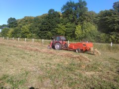 Massey Ferguson  & Sipma z224