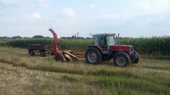 Massey Ferguson + zestaw do ścinki kukurydzy