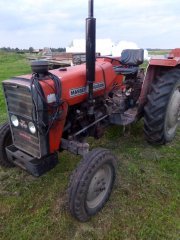 Massey Ferguson