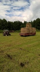 Massey Ferguson