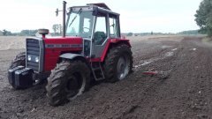 Massey Ferguson+brony