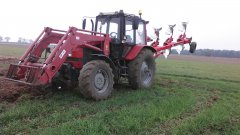 Belarus 1221.3 vogel noot950 st