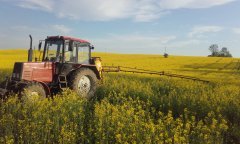 Belarus 820 & Opryskiwacz