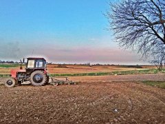 Belarus 82.1 & Agro-Masz 2.80