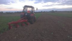 Belarus 82.1 & Akpill CH350