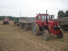 MTZ 80 i Ursus