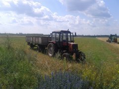 MTZ 82 TS + przyczepa 10t