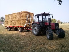 MTZ 82TS +METAL FACH