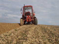 Mtz Belarus 82