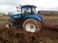 New Holland T 7060 + dwie Niemki