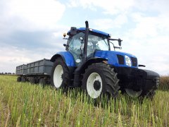 New Holland T6.175