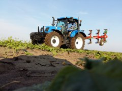 NH T6.155 + Agro masz PO4+