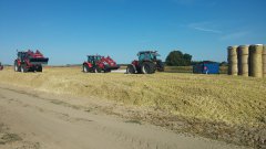 Massey Ferguson 5611&5609&3125