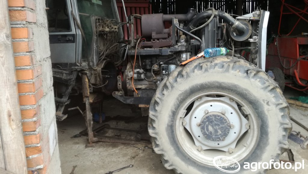Foto ciagnik Massey Ferguson 3645 id:687342 - Galeria rolnicza agrofoto