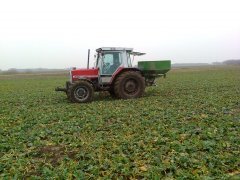 Massey Ferguson 3060 Amazone za-f 604R