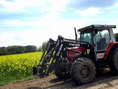 Massey Ferguson 3060 + kultywator