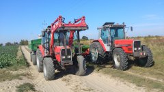 Massey Ferguson 3065 i 3095