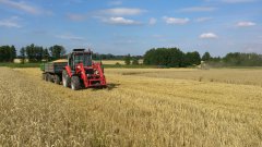 Massey Ferguson 3065