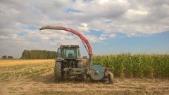 Massey Ferguson 3080 & Mengele Sh20