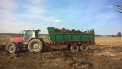 Massey Ferguson 3080 & T-088