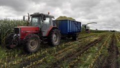 Massey Ferguson 3080