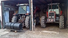 Massey Ferguson 3095 & 3065