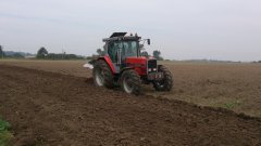 Massey Ferguson 3095 i Agro-Masz PO4