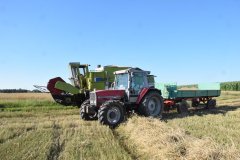 Massey Ferguson 3095 & Reisch , Claas dominator 85