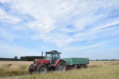 Massey Ferguson 3095 & Reisch