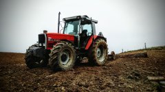 Massey Ferguson 3115E