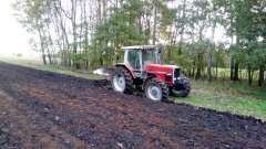 Massey Ferguson  3125 & Kvernelad f 160