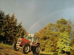 Massey Ferguson 3125