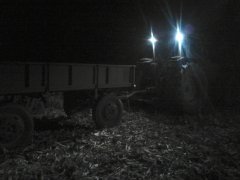 Massey Ferguson 3635 & D-44