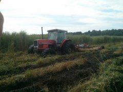 Massey Ferguson 3655