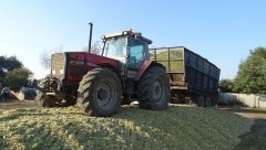 Massey Ferguson 3670