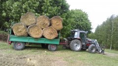 Massey Ferguson & HL