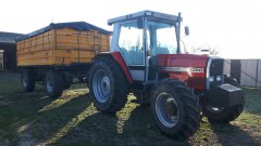 Massey Ferguson & Wielton